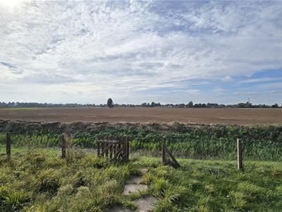 Picture 20